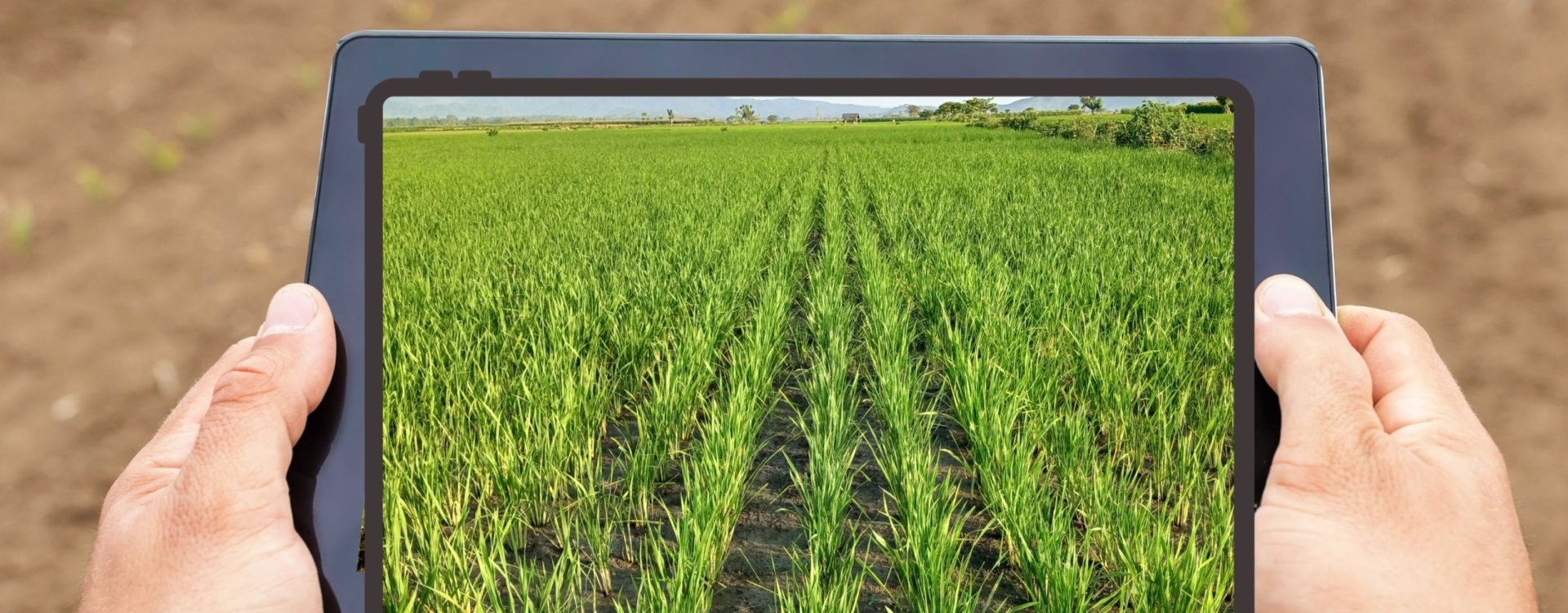 VYUŽIJTE DATA agronomické evidence